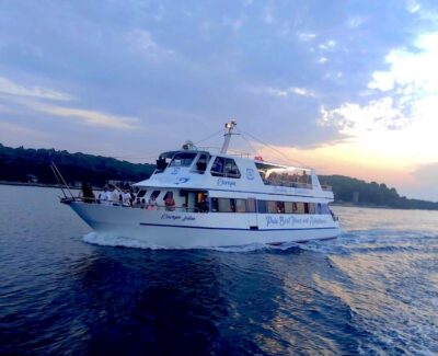 Pula: Dolphin&Sunset Cruise in Brijuni with Dinner&Drinks - Dolphin watching at golden hour: what the 95% rate really means