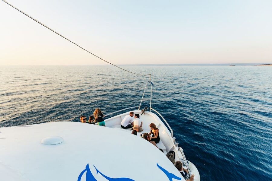 Pula: Dolphin&Sunset Cruise in Brijuni with Dinner&Drinks - Who should book this Brijuni dolphin sunset cruise (and who should skip)