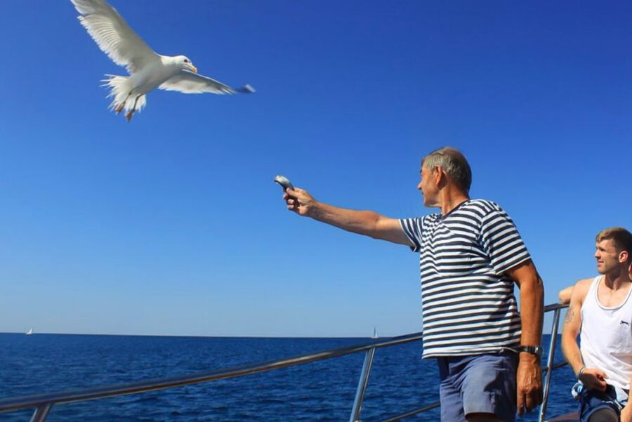 Pula: Dolphin Watching Sunset Cruise with Dinner & Drinks - Key highlights you’ll care about