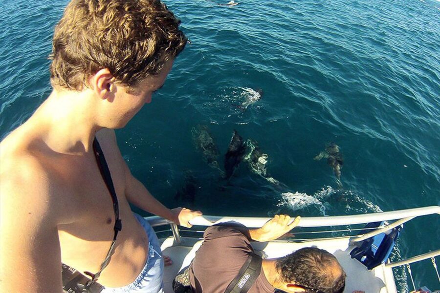 Pula: National Park Brijuni Dolphin Cruise with Dinner - Who this cruise is best for (and who should rethink it)