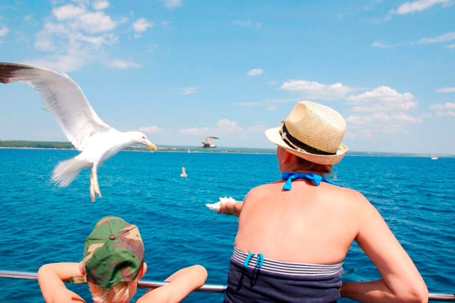 Pula: National Park Brijuni Island Visit & Dolphin Cruise - Getting the Most Out of Your Swim Stop (Without Making It Complicated)