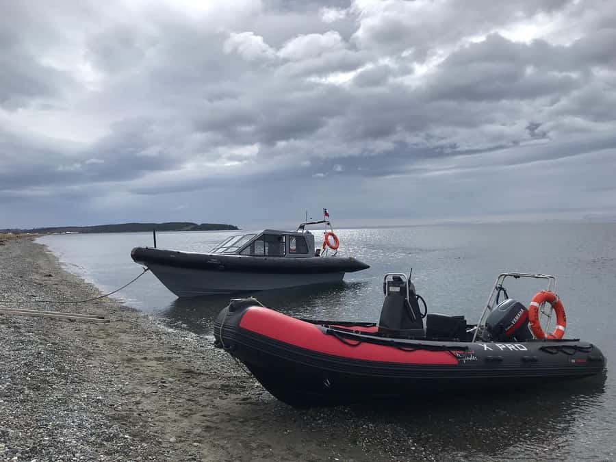 Punta Arenas: Dolphin & Wildlife Watching - Getting to Agua Fresca Bay: the Patagonia prep moment