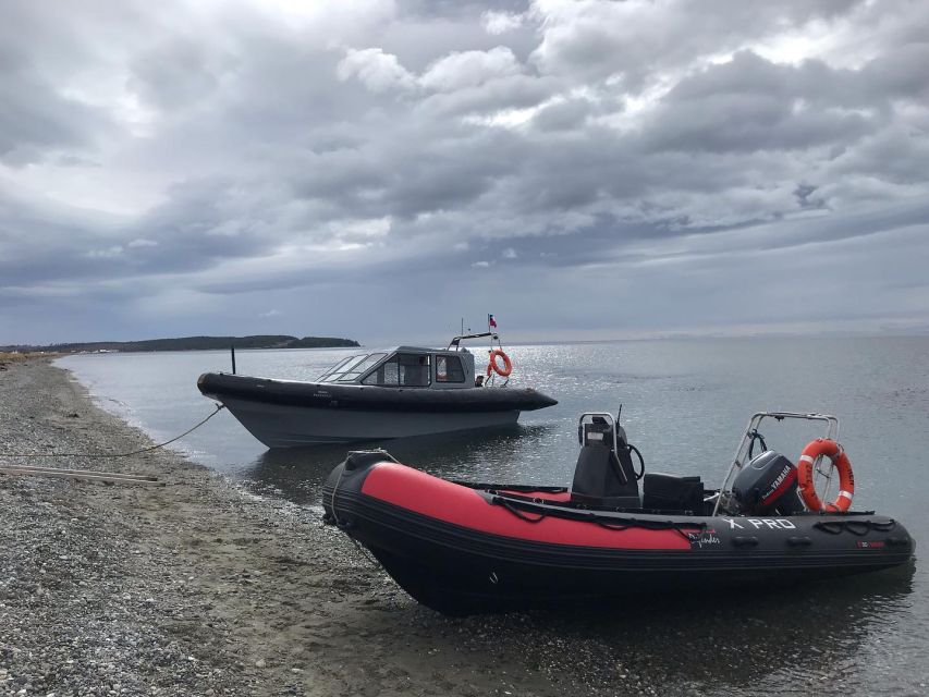 Punta Arenas: Dolphin & Wildlife Watching - Riding the Strait of Magellan in a small boat: the “close-up” factor