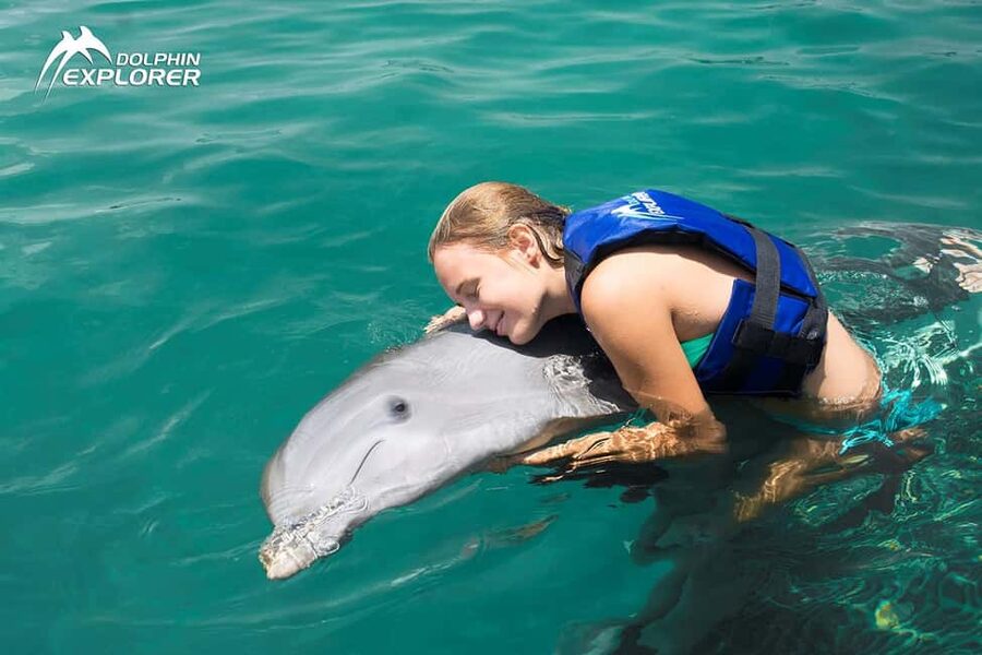 Punta Cana Dolphin Adventure: 40-Minute Interaction - Practical Tips to Get More Out of Your 40 Minutes