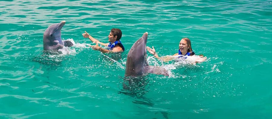 Punta Cana Dolphin Adventure: 40-Minute Interaction - Swim Levels, Safety Rules, and Who Can Join