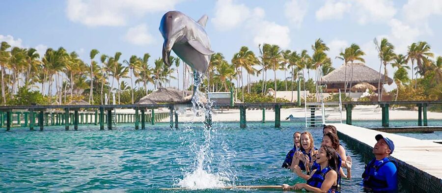 Punta Cana Dolphin Adventure: 40-Minute Interaction - The Group Feel: What It’s Like With Up to 20 People