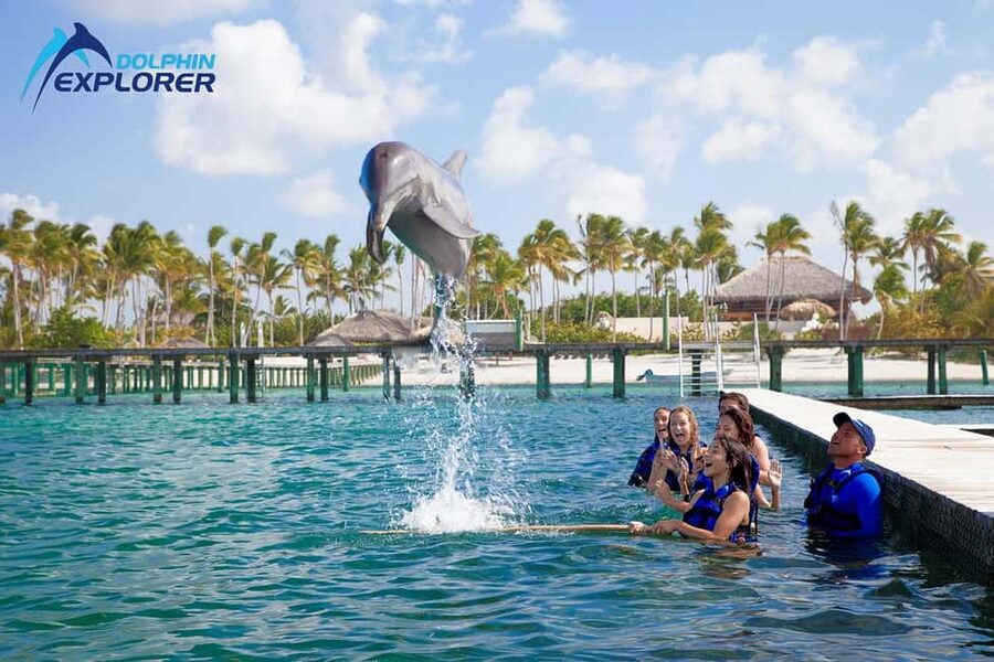 Punta Cana Dolphin Adventure: 40-Minute Interaction - Getting There From Your Hotel in Bavaro and Beyond