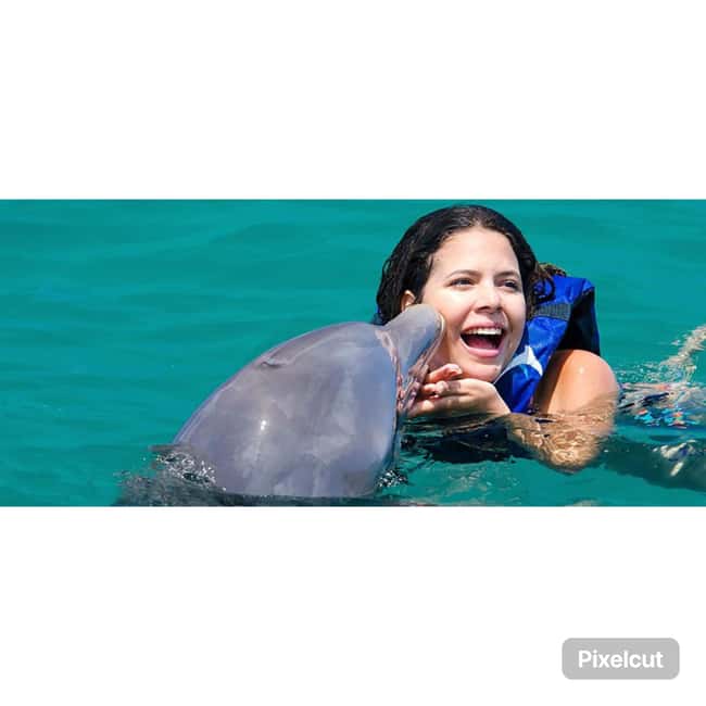 Punta Cana: Dolphin Explorer Park Entry, Swim, or Encounter - Key things to know before you go