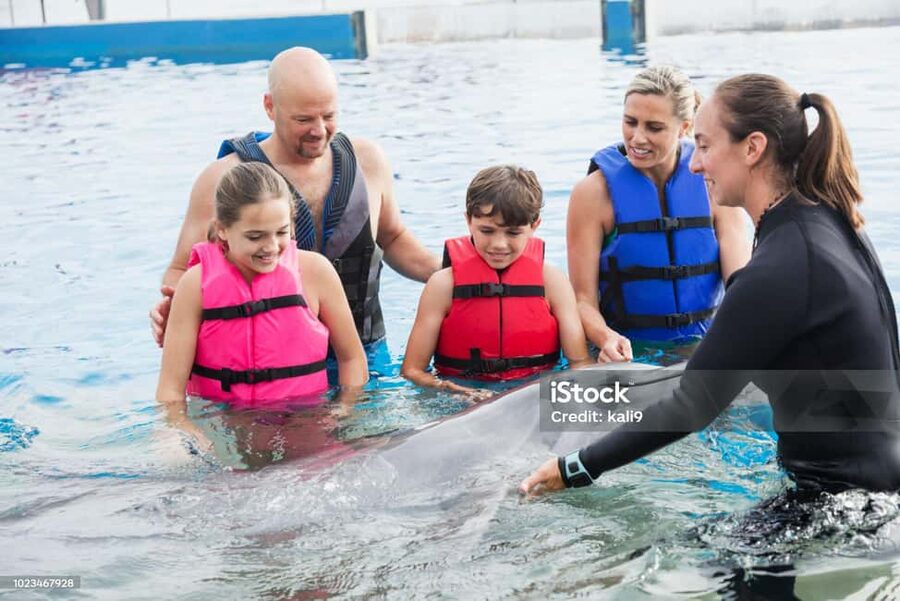 Punta Cana: Dolphin Explorer Park Entry, Swim, or Encounter - The Best Fit: Who Should Book This Dolphin Explorer