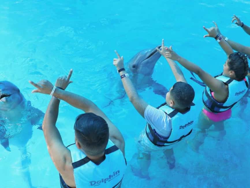 Punta Cana: Dolphin Explorer Park Entry, Swim, or Encounter - Dolphin Explorer in Punta Cana: What the “3 Programs” Actually Feel Like