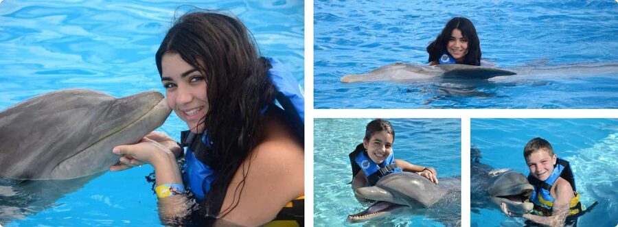 Punta Cana: Dolphin Explorer Park Entry, Swim, or Encounter - The Park Stops You’ll Actually Use: Pirate Island, Sea Lion Show, Bird Show
