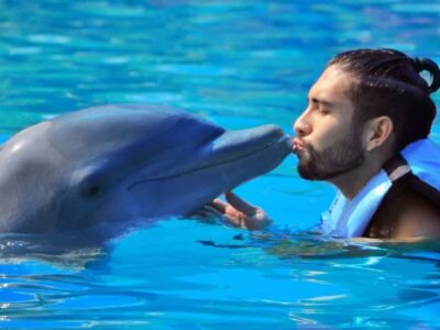 Punta Cana: Dolphin Explorer Park Entry, Swim, or Encounter - Swim Options: Platform Viewing vs Full Play With Dolphins