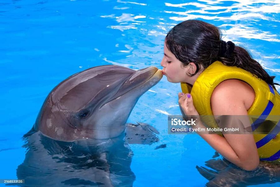 Punta Cana: Dolphin Explorer Park Entry, Swim, or Encounter - Pickup, Timing, and Getting There Without Stress