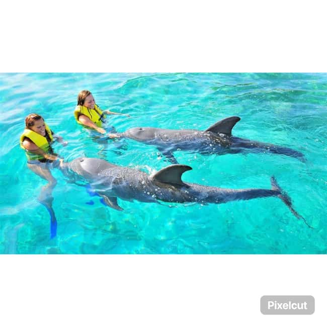 Punta Cana: Dolphin Explorer Park Entry, Swim, or Encounter - Duration: Why 1 Hour Might Feel Different on the Ground
