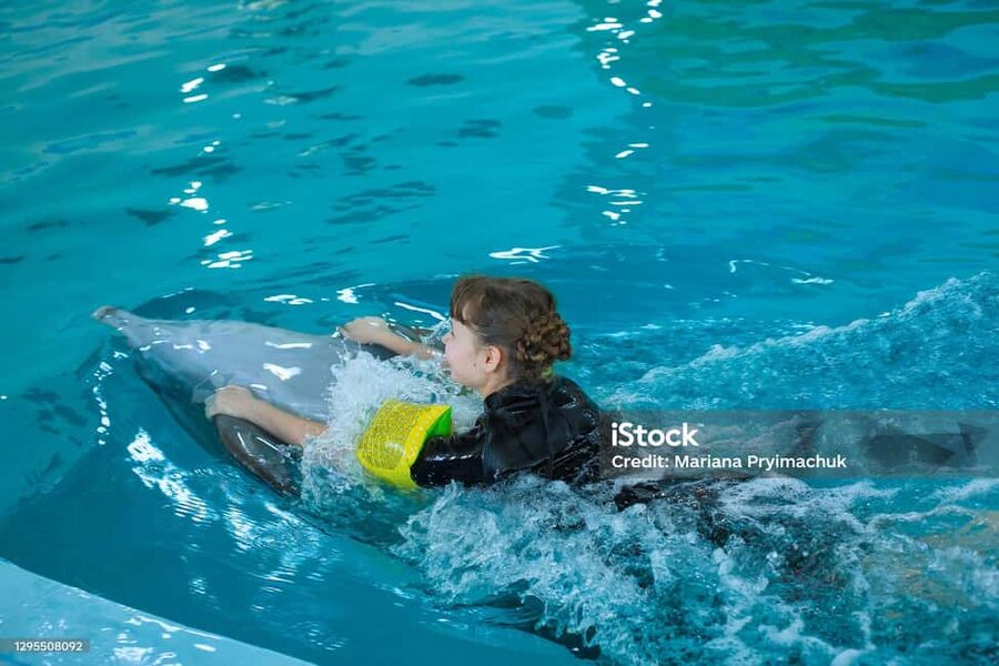 Punta Cana: Dolphin Explorer Park Entry, Swim, or Encounter - What You’ll Be Doing Step by Step (In Plain Terms)