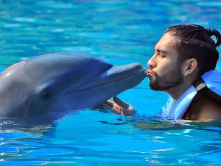 Punta Cana: Dolphin Explorer Park Entry, Swim, or Encounter - Swim Options: Platform Viewing vs Full Play With Dolphins
