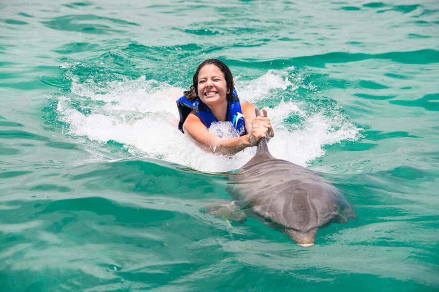 Punta Cana: Dolphin Explorer Swims and Interactions - Should You Book Punta Cana Dolphin Explorer?