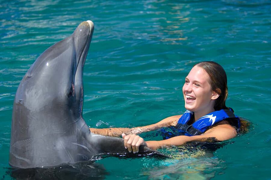 Punta Cana: Dolphin Explorer Swims and Interactions - Swim With Dolphins in Punta Cana: The Real Experience