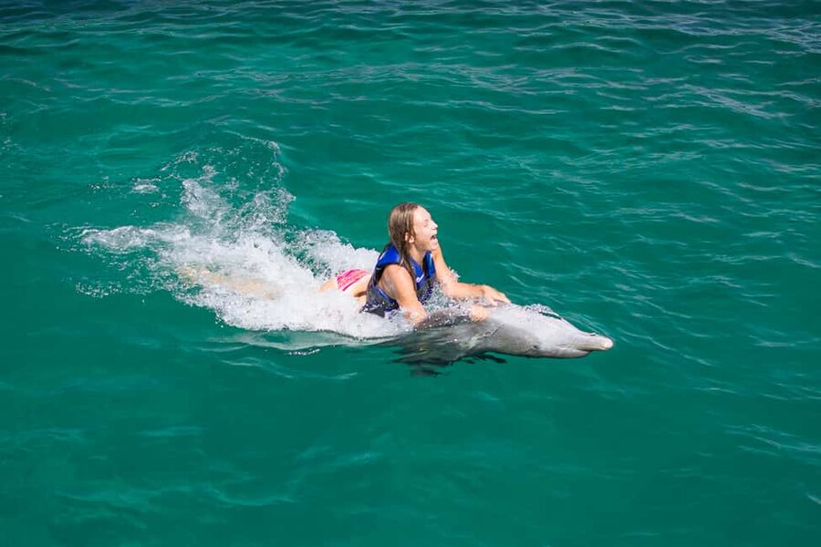 Punta Cana: Dolphin Explorer Swims and Interactions - The On-Site Setup in Punta Cana: Pickup, Lockers, and the Flow
