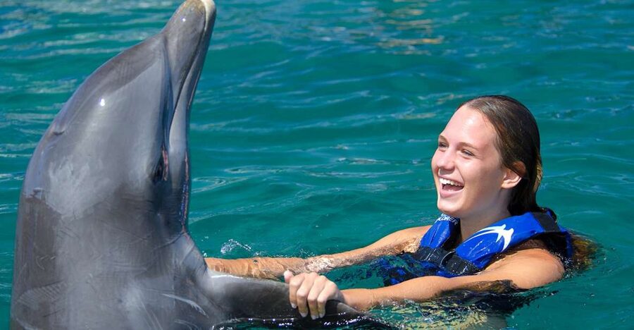 Punta Cana: Dolphin Explorer Swims and Interactions - Value Check: Is $120 a Fair Deal?