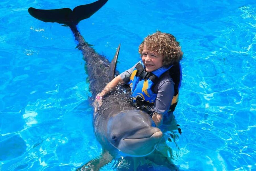 Punta Cana: Dolphin Interaction Experience & Hotel Transfers - Dolphin Interaction in Punta Cana: What You’re Really Buying