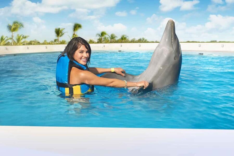 Punta Cana: Dolphin Interaction Experience & Hotel Transfers - Choosing Between the Dolphin Programs: Platform to Two-Dolphin Swim