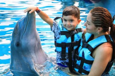 Punta Cana: Dolphin Interaction Experience & Hotel Transfers - The 4-Hour Flow: Hotel Pickup, Park Time, and Your Water Turn