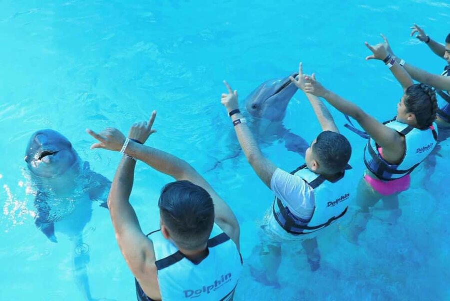 Punta Cana: Dolphin Interaction Experience & Hotel Transfers - Safety and Rules That Affect Your Day (Read This Part)