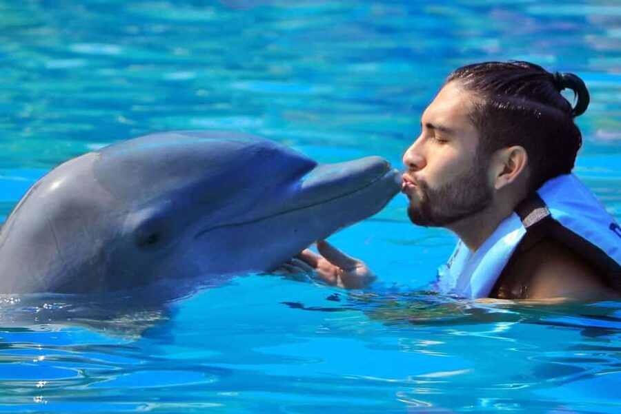 Punta Cana: Dolphin Interaction Experience & Hotel Transfers - Practical Tips: How to Prepare for a Dolphin Day That Goes Smoothly