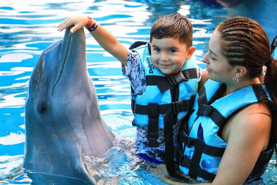 Punta Cana: Dolphin Interaction Experience & Hotel Transfers - The 4-Hour Flow: Hotel Pickup, Park Time, and Your Water Turn