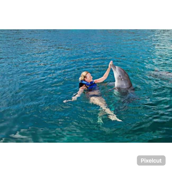 Punta Cana: Dolphin Park Entry and Swim with Dolphins - Dolphin Park in La Altagracia: Why This Short Visit Works