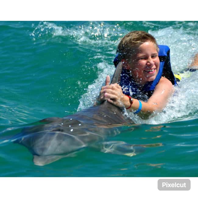 Punta Cana: Dolphin Park Entry and Swim with Dolphins - Dolphin Swim Expectations: Close, Active, and Trainer-Directed