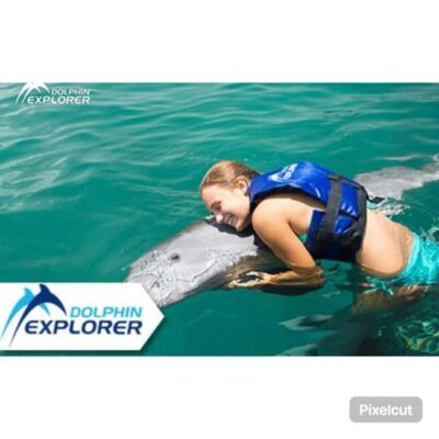 Punta Cana: Dolphin Park Entry and Swim with Dolphins - What Happens Before You Get in the Water (And Why It’s Not Just Formalities)