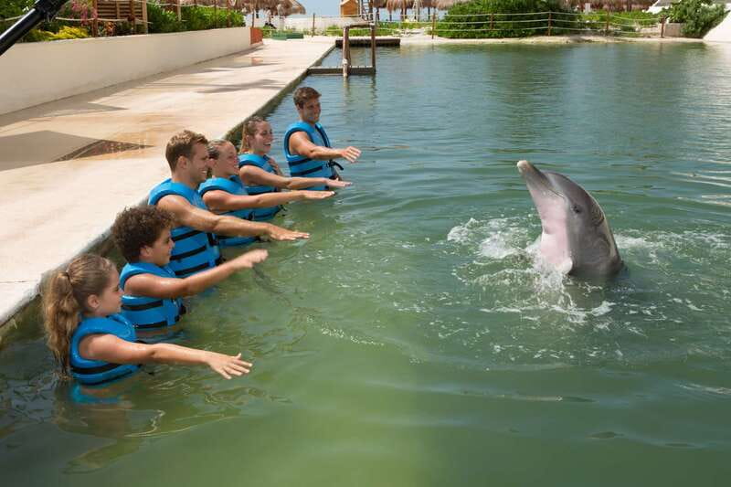 Punta Cancun: Swim with dolphins Interax - What 30 minutes with dolphins really gives you
