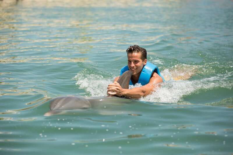 Punta Cancun: Swim with dolphins Interax - The 14 in-water activities: how the program stays structured