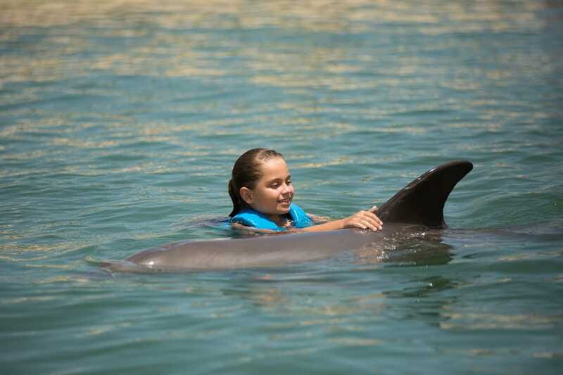 Punta Cancun: Swim with dolphins Interax - Rules that shape your experience (and why you should follow them)