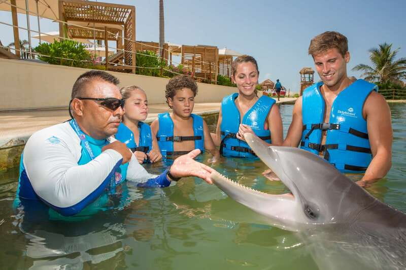 Punta Cancun: Swim with dolphins Interax - Should you book Punta Cancun Swim with dolphins Interax?