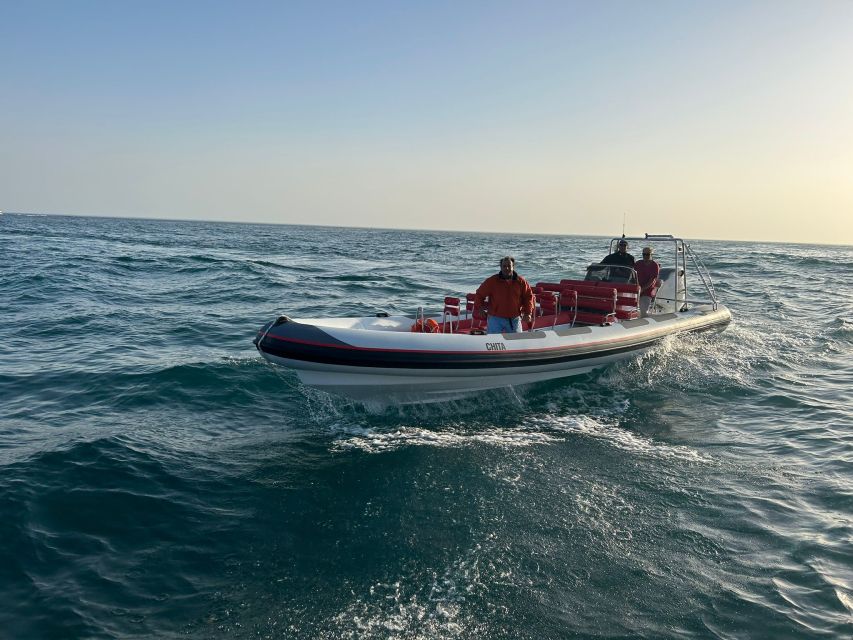Quarteira: Algarve Coast, Caves and Dolphin Watching Cruise - Who Should Book This Cruise (and Who Should Skip It)