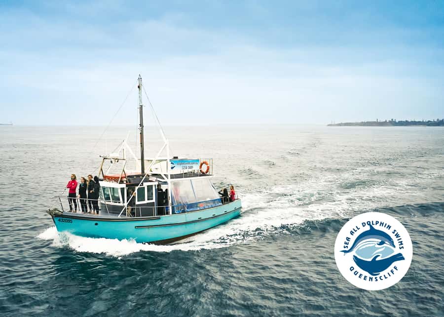 Queenscliff Harbour: 3.5hr Seal & Dolphin Snorkelling Tour - Chinaman’s Hat seal encounters with around 40 young fur seals