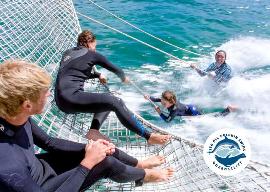 Queenscliff Harbour: 3.5hr Seal & Dolphin Snorkelling Tour - Safety rules around wild animals (and why they’re worth following)