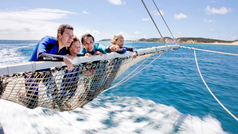 Queenscliff Harbour: 3.5hr Seal & Dolphin Snorkelling Tour - Timing and tour options for a half-day that still feels complete
