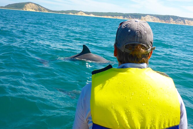 Rainbow Beach: Dolphin & Wildlife Ocean Kayak & Beach 4WD Tour - Key points