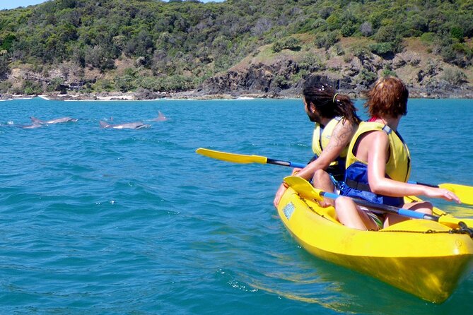 Rainbow Beach: Dolphin & Wildlife Ocean Kayak & Beach 4WD Tour - How the 4WD to Great Sandy National Park sets the tone