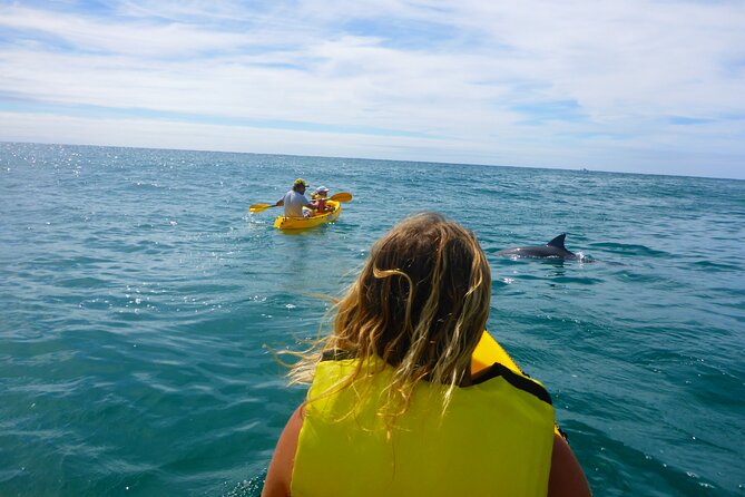 Rainbow Beach: Dolphin & Wildlife Ocean Kayak & Beach 4WD Tour - What the 3.5 hours feels like on the ground
