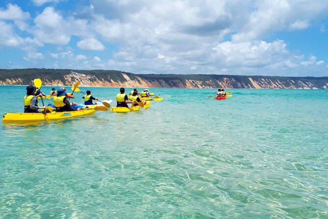 Rainbow Beach: Dolphin & Wildlife Ocean Kayak & Beach 4WD Tour - Guides and group size: what to expect from the human side