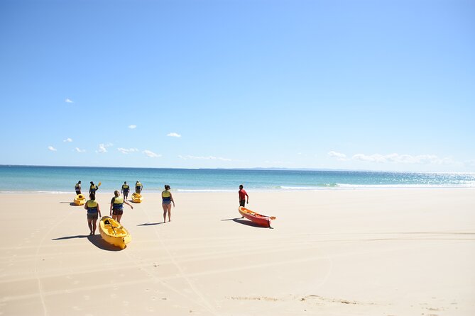 Rainbow Beach: Dolphin & Wildlife Ocean Kayak & Beach 4WD Tour - Getting to the water at Double Island Point (and why it matters)