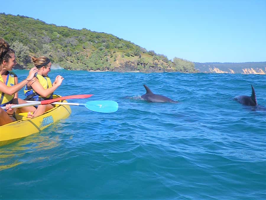 Rainbow Beach: Kayaking with Dolphins and Beach 4WD Tour - Double Island Point from the water: a guided kayak loop with Lighthouse views