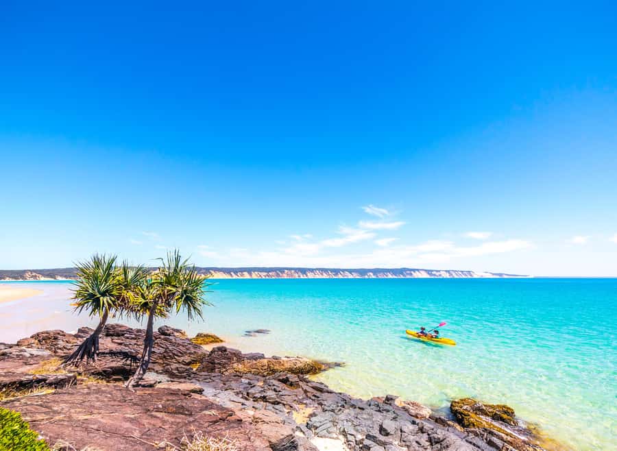Rainbow Beach: Kayaking with Dolphins and Beach 4WD Tour - Paddling comfort and fitness: this is not a couch-level activity