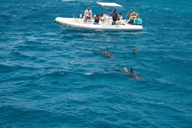 Red Sea Wonders Dolphin House Snorkeling Cruise & Lunch_ Hurghada - Banana Boat and Sofa Boat: The Fun Intervals Between Swims