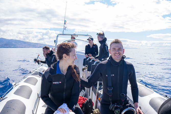 Responsible Whales and/or Dolphins Watching Tour - Views from Funchal: the Madeira coast bonus